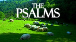 The Psalms: God's Provision for the Journey
