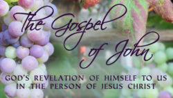 John's Snapshot of Christ