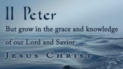Peter's Last Will and Testament (Part II)